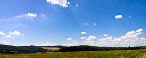 Sommer-auf-den-Rheinhoehen-a21710815